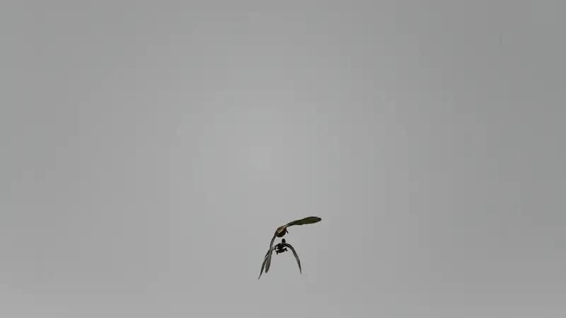 三角洲行动玩家游戏日常，普坝刀房等场景欢乐多